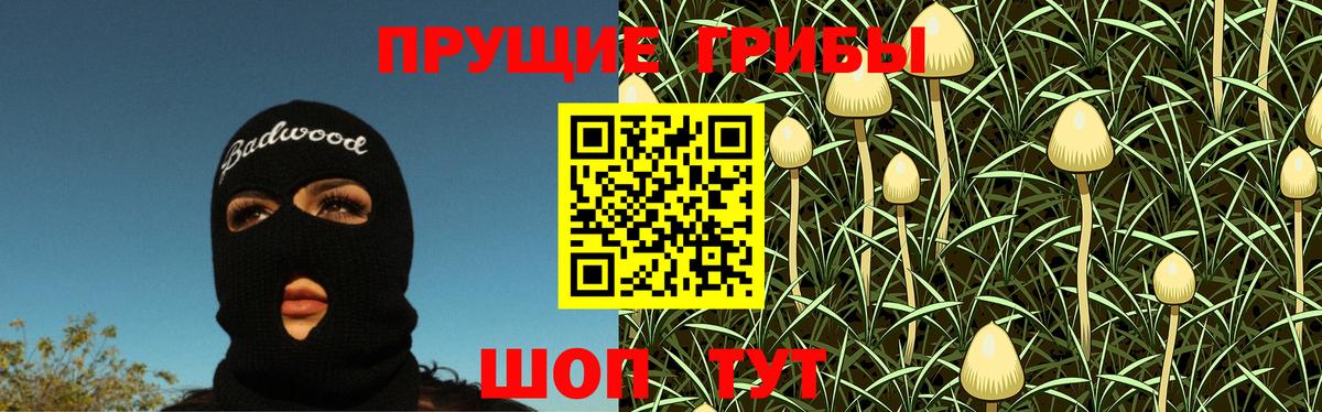Галлюциногенные грибы Psilocybe  Псилоцибиновые грибы MAGIC MUSHROOMS  Алексин  цена   Вход с VPN 